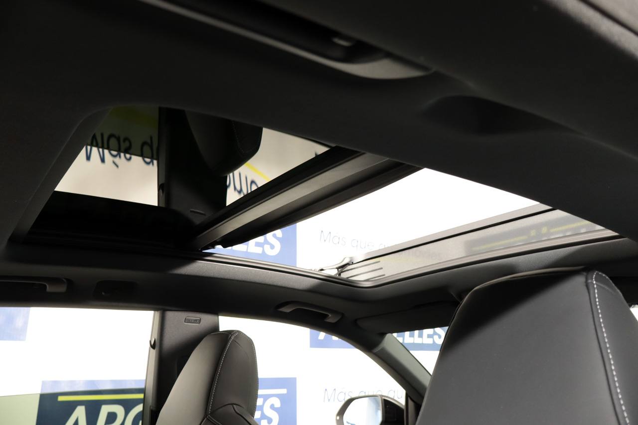 Audi Q8 50 TDI Black Line Plus Quattro 286cv