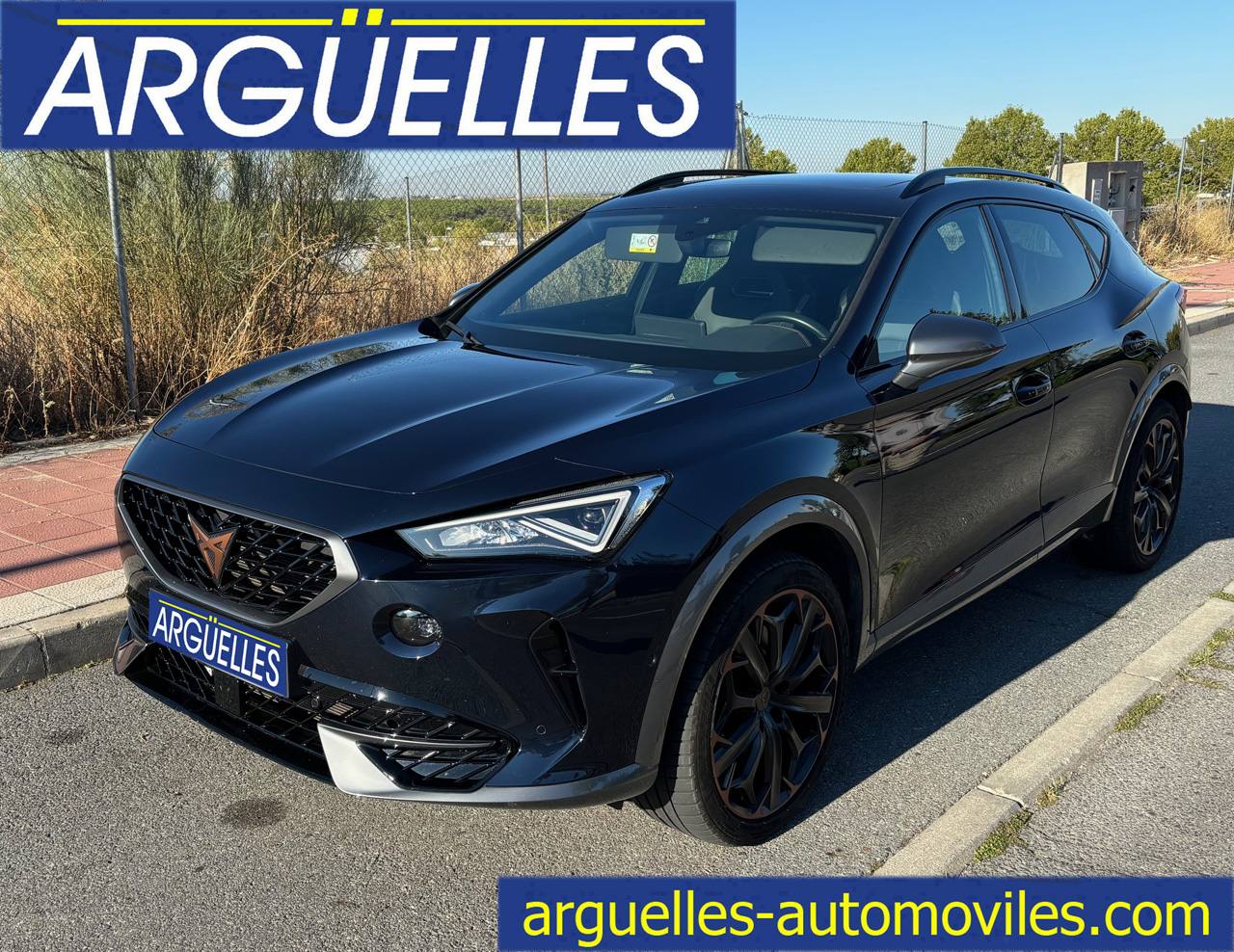 Cupra Formentor 2.0 TSI VZ 4Drive 310cv